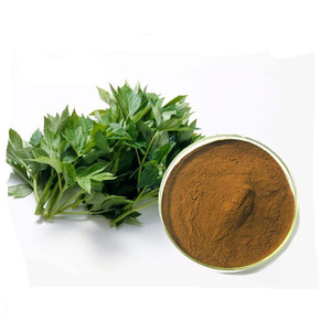 Fornecimento de fábrica Natural <span class=keywords><strong>Angelica</strong></span> Keiskei Extrato de alta pureza Ashitaba Extrato em pó - Product Image 2