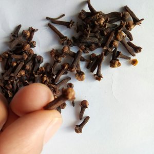 Ding Xiang China Venta 100% Puro Flor de Canela (Flos Caryophylli) Eugenia Caryophyllata Capullos de Flor para Especias - Product Image 4