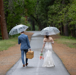 Wsy917 tùy chỉnh xách tay PVC trong suốt ô với logo giá rẻ đầy màu sắc quảng cáo Quà Tặng ô - Product Image 3