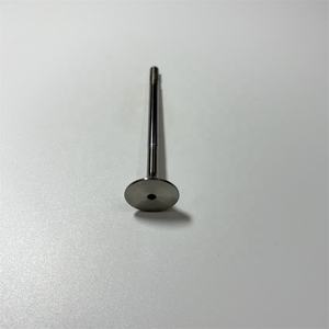 Stzt Katup Buang Masukan Mesin 6420530401 6420500527 untuk Mercedes Benz C320 C350 CLK320 CDI OM642 3.0 Diesel - Product Image 4