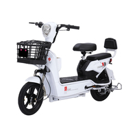 Super Offre sur un Vélo Électrique 350W pour Deux Personnes - Comprend un Affichage Numérique et une Alarme à Distance