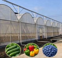 Kit de Serre Commerciale pour Légumes, Ensemble Complet de Serre Agricole pour la Culture de Fleurs, Fraises et Poivrons - Vente Chaude
