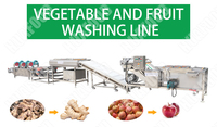 Ligne de production de fruits secs Séchage de feuilles de kaki Séchage de légumes surgelés Séchage de fruits secs Ligne de production
