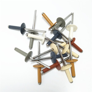 RIVETI CIECHI con Verniciatura Colore <span class=keywords><strong>RAL</strong></span> NCS, Rivetto Cieco AL5154/SS304 con Testa <span class=keywords><strong>a</strong></span> Flangia Grande 4.8x16-H14 per il Mercato del Kazakhstan - Product Image 6
