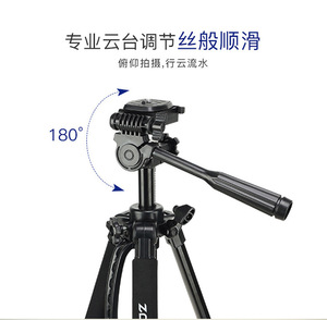 ZOMEI 1200 Chuyên Nghiệp Mini Máy Ảnh & Điện Thoại Di Động <span class=keywords><strong>Tripod</strong></span> Đứng 150Cm Nhôm Xách Tay Video Chụp Thiết Bị - Product Image 1