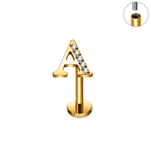 Titane Piercing En Gros Anglais Lettres Forme Tragus Conque Boucle D'oreille À Charnière <span class=keywords><strong>Clicker</strong></span> Nez Narine Anneau Femmes Piercing Bijoux - Product Image 5