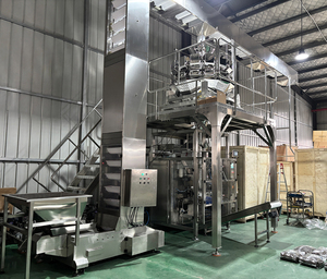 Machine d'emballage automatique WPV450 pour les gros colis de chips, de snacks, de morceaux de poulet, de céréales et de pâtes creuses - Product Image 2