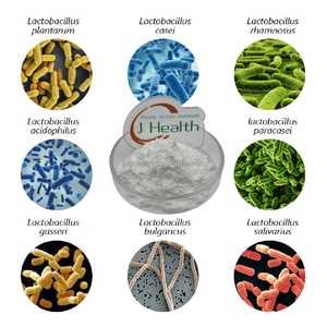 Polvo de <span class=keywords><strong>Lactobacillus</strong></span> <span class=keywords><strong>Fermenti</strong></span> de probióticos de grado alimenticio de alta calidad - Product Image 5