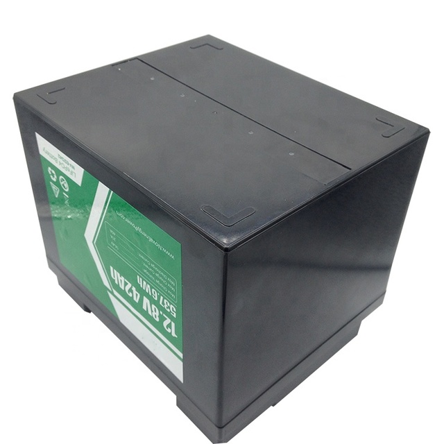 Lead Acid Replacement Battery 12v 40ah 42ah 50ah LiFePO4 for Car Refrigerator and Freezers Home Solar