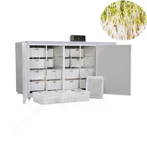 Fabricante de brotes de Frijol mungo, máquina automática de proceso de brotes, máquina de cultivo de brotes de frijol