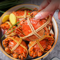 Crabe entier mariné au vin Hua Diao surgelé précuit avec pâte rouge Crabe prêt à manger