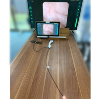Bronchoscope pour chien le plus économique, qualité vidéo flexible, OEM pour la médecine animale, endoscope USB 1280*720p