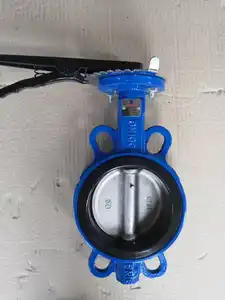 Hot Sell High Performance Resilient Seated Handle Wafer Ductile Iron Resilient Butterfly Valve