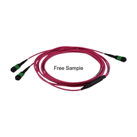 3.0mm 8F MPO/APC Branch Jumper Cable | Assemblage de fibre optique intérieur pré-terminé 1x2MPO pour centre de données | Cordon de raccordement