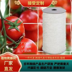 Malla de jardín Chengye, de poliéster blanco, para soporte de plantas trepadoras, para pepinos, tomates, guisantes, uvas y enredaderas. - Product Image 5