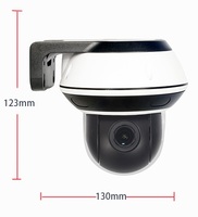 Caméra dôme IP PTZ mini P2P avec vision nocturne couleur, option de montage au plafond et au mur, application XMEYE ICSEE