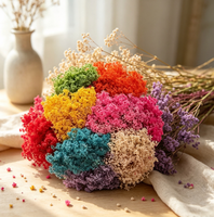 Bunga Gypsophila Awet Abadi Million Star DIY Bahan Buatan Tangan 30-70cm Lampu Tenaga Surya Dekorasi Rumah untuk April Mop