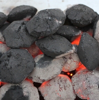 Camping BBQ Allume-feu Bâtons de plumes et allume-feu en bois de paraffine pour gril et feu de camp Matériel de démarrage de feu extérieur