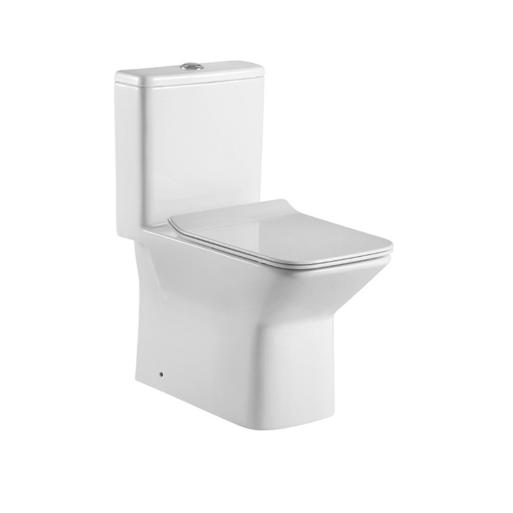 Deux Pièces Laver Monobloc Placard Wc En Céramique