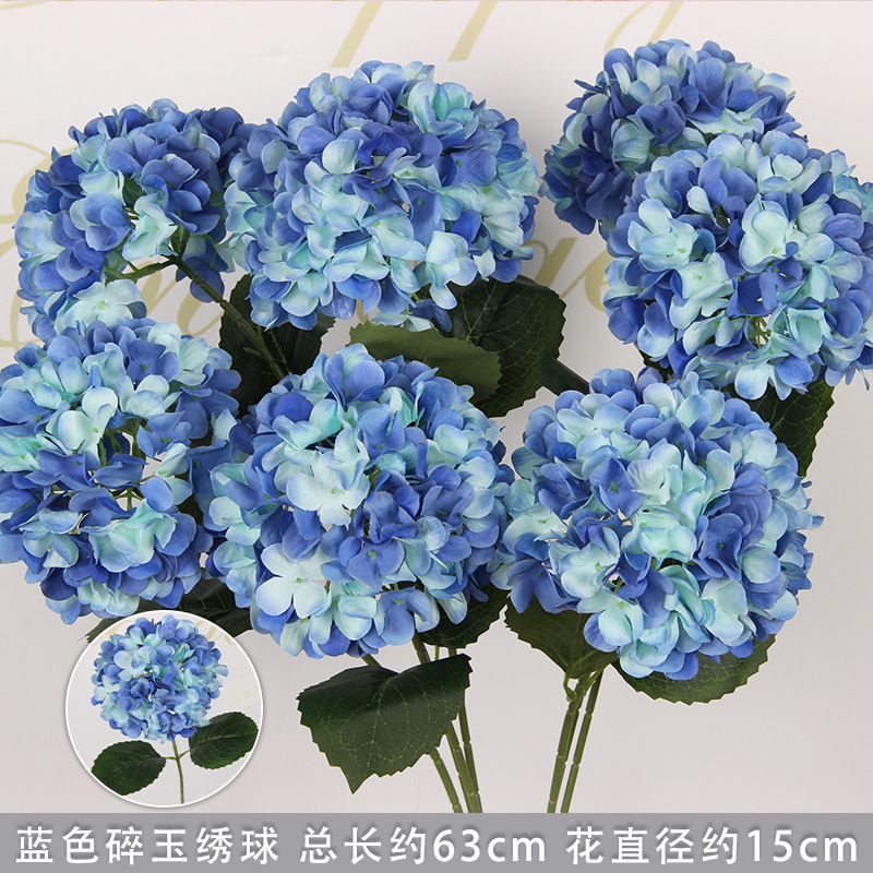 Hortensia bleu avec feuilles