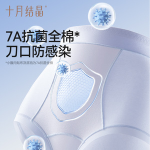 Ropa interior posparto October Crystal, cintura media alta, algodón puro, entrepierna extra larga, antibacteriana, para recuperación de cesárea - Product Image 3