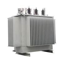 Transformateur immergé dans l'huile S20-M 315 kVA, bobinage en cuivre de haute qualité, noyau CRGO, faible perte, fabriqué en Chine pour postes de distribution