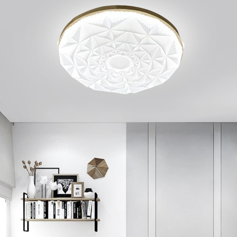 Modern Iron Remote Control LED Ceiling Lamp for Home Decoration 230-450mm 36W Living Room & Bedroom