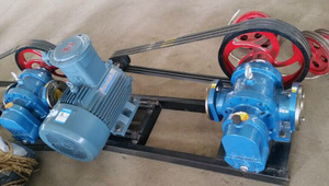 Vente directe d'usine Pompe à lobes rotative pour colle à haute viscosité série LC Pompe à huile LC - Product Image 6