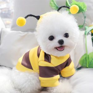 Vêtements pour petits chiens : Sweat à capuche motif abeille pour Teddy, Schnauzer, <span class=keywords><strong>Beagle</strong></span>, Pomeranian - Product Image 1
