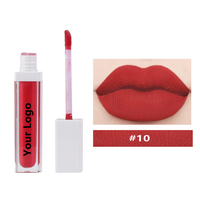 Nouveau design OEM Make up Waterproof Private Label Brillant à lèvres mat Rouge à lèvres liquide