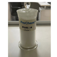 Poudre de matière première PVDF Frechem pour la peinture de revêtement, fabricant d'usine