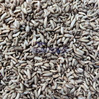 Gerookte Vis Drogen En Roken Machine Garnalen Kippeninsecten Bsf Meerval Zijderupsen Cocon Droger Drogen Gedroogde Vis Machine