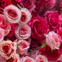 Mur de fleurs artificielles en soie, toile de fond moderne personnalisable pour mariage, dégradé rose et blanc, accessoire photo pour événements intérieurs