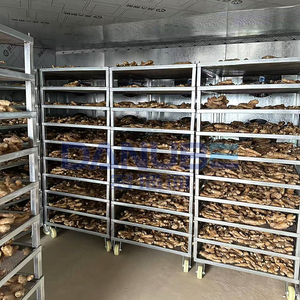 Electric Industrial Vegetable Dryer Machine Dehydrator Turmeric Garlic Ginger Drying Machine - Product Image 3