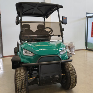 Carrito de Golf Turístico Mini Personalizado 2025 de 5-6 Plazas con Batería de 48V, Estructura de Acero de Alta Resistencia, Autonomía de 70-90 km, Personalizable de 2 Plazas - Product Image 3