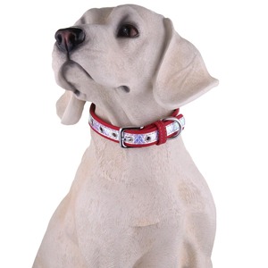 激光色块超细反光彩虹拼接亮片鱼鳞皮革宠物狗项圈带D环现货 - Product Image 4