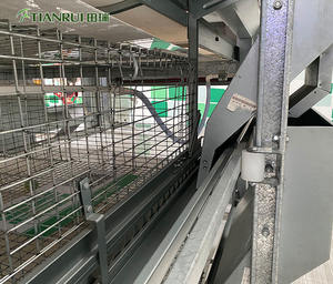 อัตโนมัติเด็กชั้นไก่เนื้อ Brooder วันเจี๊ยบเก่าแบตเตอรี่กรง Pullet - Product Image 6