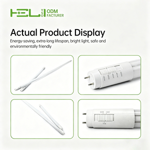 Type B-T8 Nord-Américain 600mm 7W 230V50Hz LED <span class=keywords><strong>Tube</strong></span> compatible connexion mono/bi-extrémité, Protection Fuite Courant CE - Product Image 3