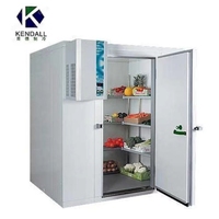 Hoge Efficiëntie Aangepaste Dimensie Vriezer Kamer 40 Ft 20ft Koude Kamer Voor Groenten Of Fruit