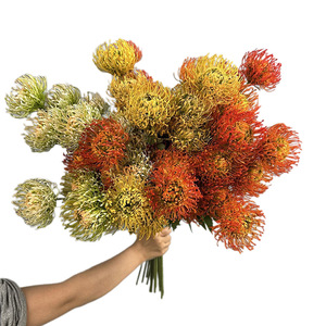 Fleur artificielle Pin Cushion d'Afrique du Sud pour aménagement paysager, plante décorative de jardin, décoration intérieure, fleurs en plastique, herbe synthétique - Product Image 5