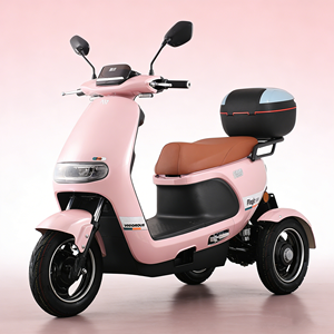 Scooter électrique familial 72V/32Ah, modèle parent-enfant, trois roues, véhicule électrique Magic M1 - Product Image 1