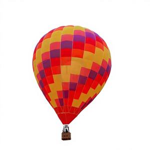 Ballon à air chaud en métal PVC personnalisable pour parc d'attractions en plein air en Chine, pour usage scolaire, grande taille, vente chaude - Product Image 1