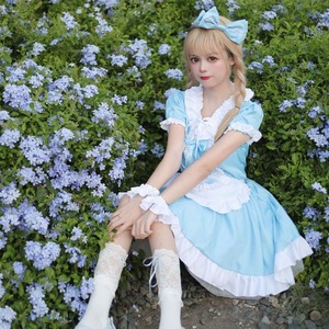 Zixiao Alice Cosplay Costume Sky Blue Dress Women Adult Anime Wonderland Maid Outfit Polyester Fabric - Product Image 2