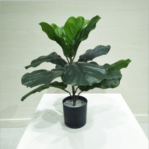 Tamaño personalizado de decoración de las plantas los árboles decoración para la casa y el jardín decoración Banyan Ficus Lyrata - Product Image 4