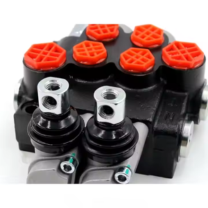 Válvula de Control Direccional Hidráulica Manual P40-G12-G38 |   Servicios de Fabricación Personalizada, OEM y de Marca Privada - Product Image 6