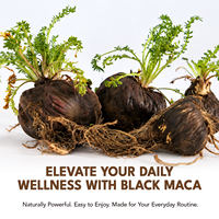 Extrait de racine de maca noire naturelle Itawel, compléments alimentaires, poudre de maca noire pure pour l'énergie, la vitalité, l'endurance et la concentration
