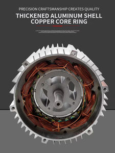 ブラシレス<span class=keywords><strong>DC</strong></span>モーター 48V-<span class=keywords><strong>72V</strong></span> 1000W 三相永久磁石構造 電動三輪車 パネルマウントモーター - Product Image 5