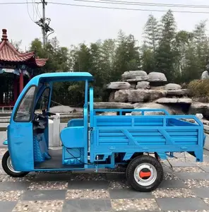 Camión de carga eléctrico pequeño, camión volquete de 3 ruedas, triciclo de 3 ruedas para adultos, barato, Venta caliente, 1500WD, venta en China