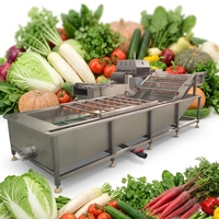Commerciële fruitwasser / industriële bubbelwasmachine voor groentewasbakken en fruitwasmachines