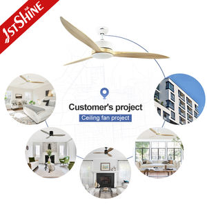 1stshine Ventilateur de Plafond Moderne Intérieur Offre Spéciale Moteur Economie d'Energie Eclairage Grands Ventilateurs de Plafond 64 Pouces avec Télécommande - Product Image 5